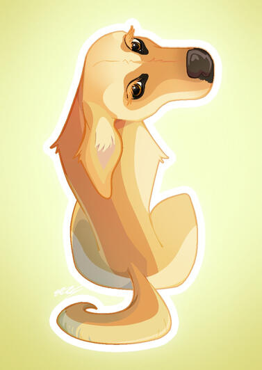 Pet portrait